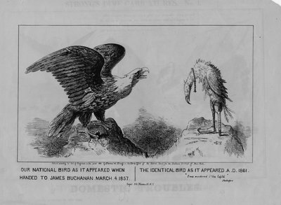 Il nostro uccello nazionale, pubblicato nel 1861 da Michael Angelo Woolf